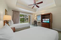 EN1302 Seven Eagles Orchid - Image 3