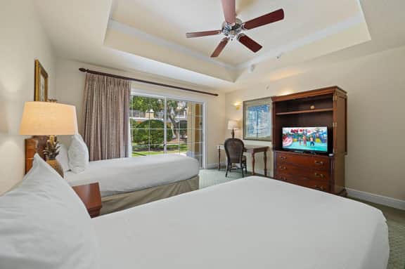 EN1302 Seven Eagles Orchid - Image 3